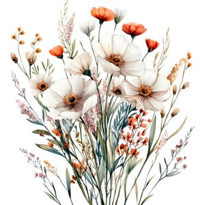 19 PNG Wildflower Clipart, Wild Flowers, Printable Watercolor clipart, Transparent PNG/JPGs, Digital download, Paper craft, Junk Journal
