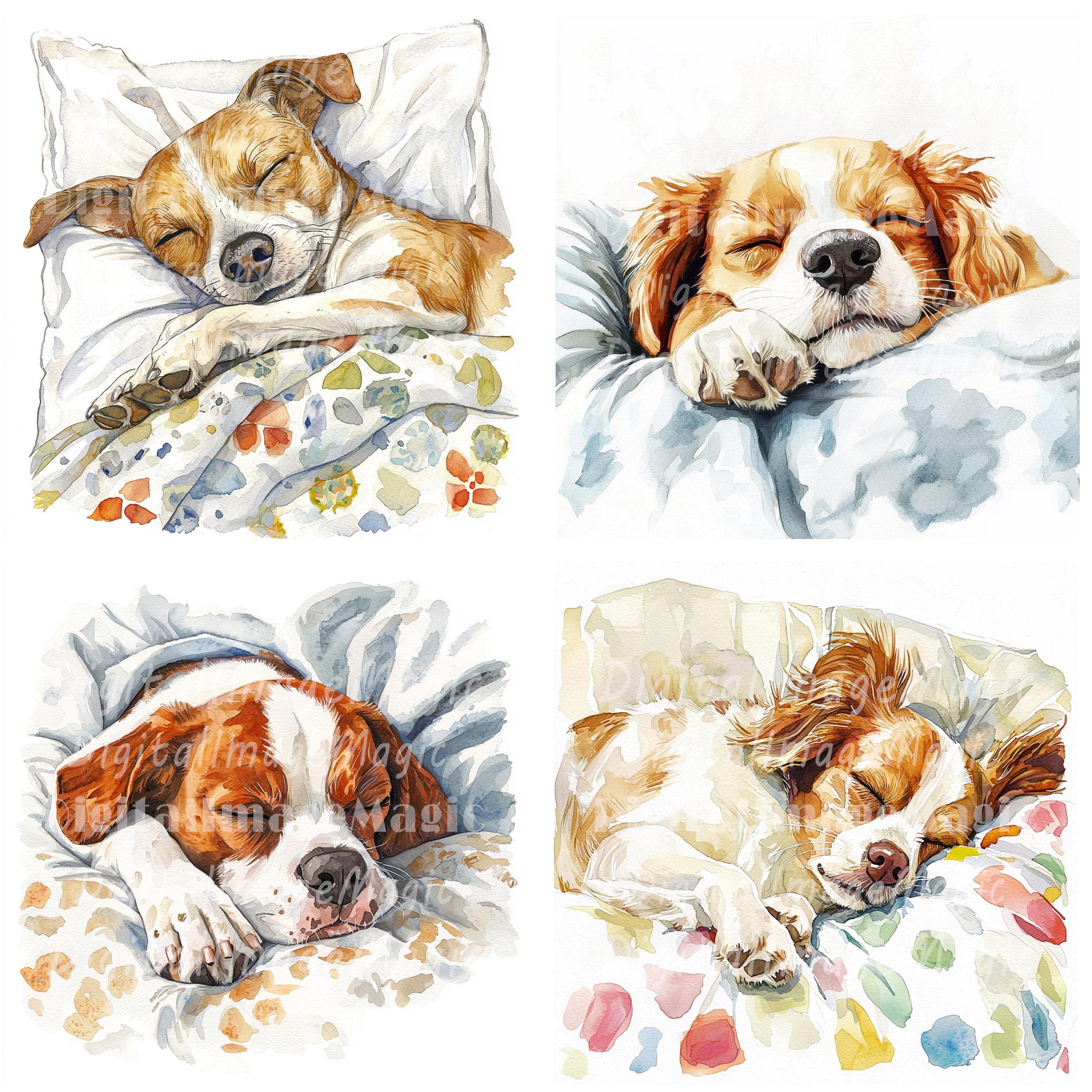 24 Sleeping Dog Clipart, Cozy Dog Clipart, Printable Watercolor Clipart ...
