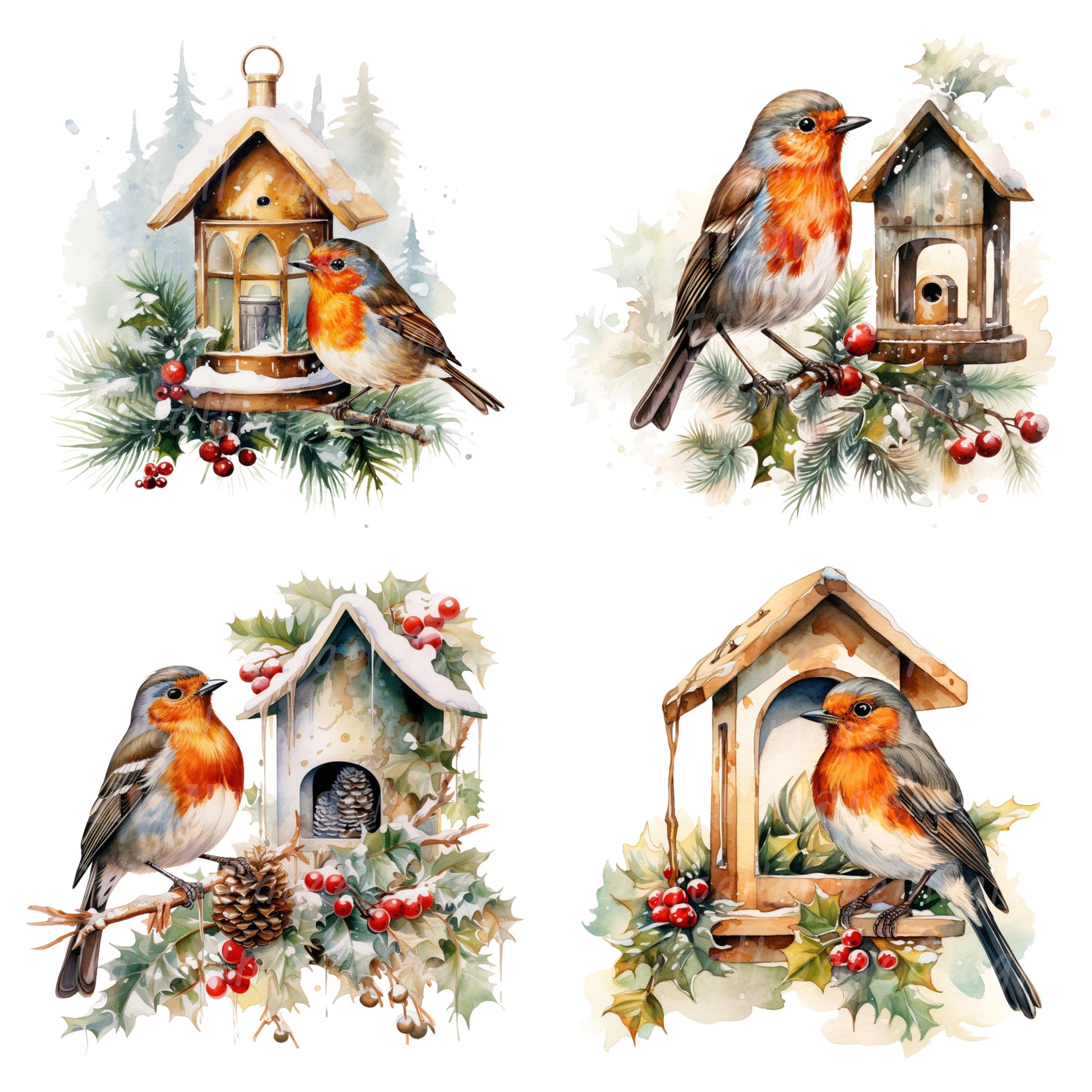 19 Christmas Robin Clipart, Printable Watercolor Clipart, High Quality ...