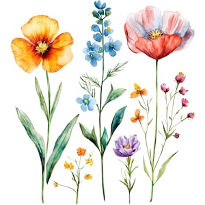 18 PNG Wildflower Clipart, Wild Flowers Elements, Printable Watercolor clipart, Transparent PNG, Digital download, Paper craft, Junk Journal