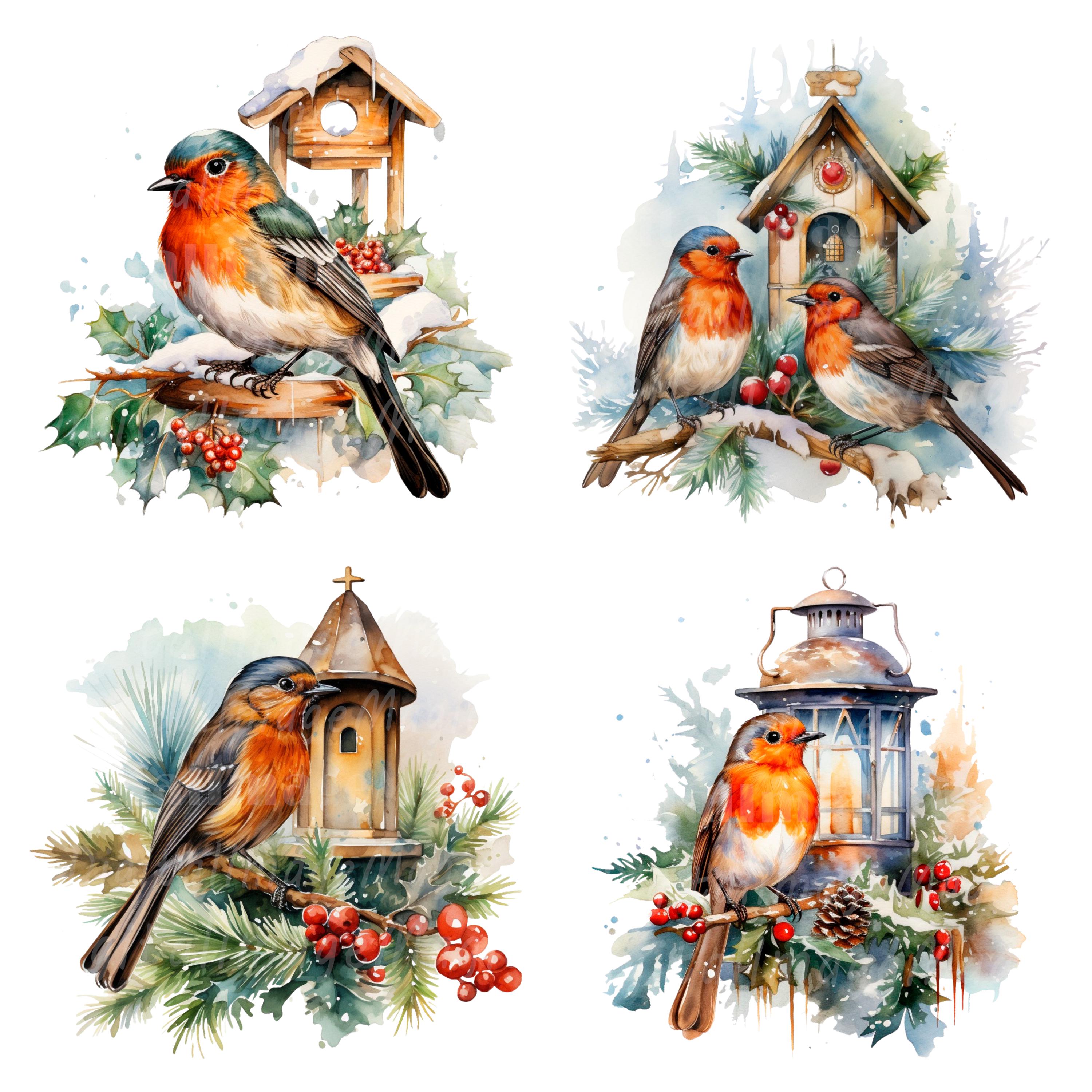 19 Christmas Robin Clipart, Printable Watercolor Clipart, High Quality ...