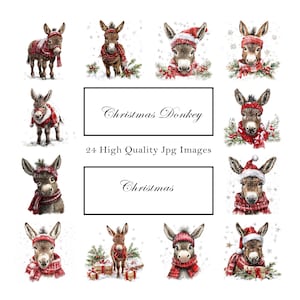 Könnte beinhalten: Eine Sammlung von Aquarellillustrationen mit Eseln in festlicher Weihnachtskleidung. Jeder Esel trägt einen Hut und einen Schal, einige Bilder enthalten festliches Grün und Geschenke. Der Text lautet "Christmas Donkey" und "Christmas".