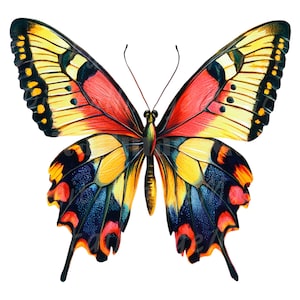 18 mariposas variadas, mariposa, clipart de acuarela imprimible, JPG/PNG de alta calidad, descarga digital, manualidades de papel, diario basura
