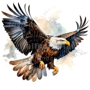 18 Clipart aquila, aquila calva, clipart acquerello stampabile, JPG/PNG di alta qualità, download digitale, artigianato di carta, diari spazzatura