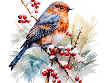 20 Various Christmas Birds Clipart, Robin, Printable Watercolor clipart, High Quality PNG/JPGs, Digital download, Paper craft, junk journals