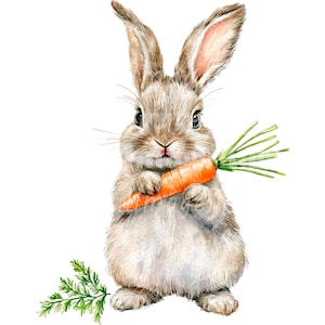 24 Fluffy Bunny Set 2 Clipart, Clipart lapin, clipart aquarelle imprimable, PNG de haute qualité, téléchargement numérique, créations en papier, journaux indésirables
