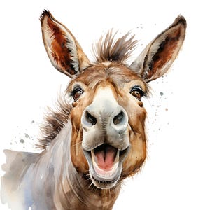 18 Funny Donkey Clipart, Donkey Laugh Clipart, Printable Watercolor clipart, High Quality PNG/JPGs, Digital download, Paper craft, Journals