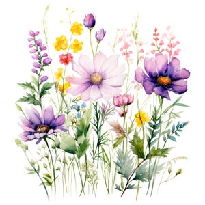 19 Wildflower Decor Clipart, Wild Flowers, Printable Watercolor clipart, High Quality JPG/PNGs, Digital download, Paper craft, junk journal