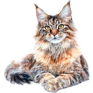 22 Maine Coon Cats Clipart, Cats Print, Printable Watercolor clipart, High Quality PNGs, Digital download, Paper craft, Junk journals
