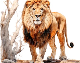 34 Lion Clipart, Watercolor Lion, Printable Watercolor clipart, High Quality PNG/JPGs, Digital download, High resolution, Paper crafts
