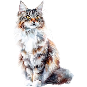23 Maine Coon Katzen Clipart, Katzen Druck, druckbare Aquarell Clipart, hochwertige PNGs, digitaler Download, Papiermodell, Junk Journals