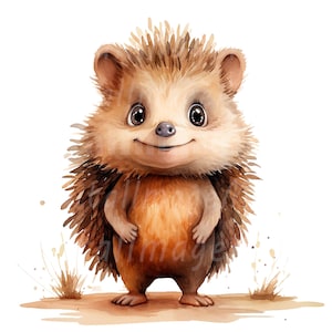 18 Clipart dessin animé hérisson, hérisson de dessin animé, clipart aquarelle imprimable, PNG de haute qualité, téléchargement numérique, créations en papier, sublimation