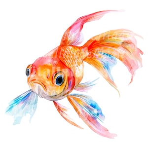 24 Goldfish Clipart, Golden fish Clipart, Printable Watercolor clipart, High Quality PNGs, Digital download, Paper craft, Junk journals