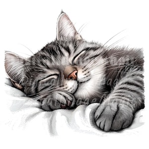 24 cliparts chat endormi, clipart chat confortable, clipart aquarelle imprimable, fichiers JPG de haute qualité, téléchargement numérique, créations en papier, journaux indésirables