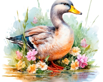 20 Floral Duck Clipart, Vintage Duck, Printable Watercolor clipart, High Quality JPG/PNGs, Digital download, Paper craft, junk journals