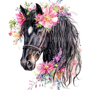 18 florale Pferde Clipart, schwarze Pferde, druckbare Aquarell Clipart, hochwertige PNG / JPGs, digitaler Download, Sublimation, Junk-Journale