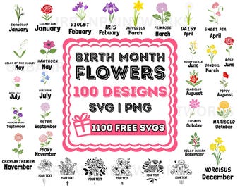 Naam BirthMonth Svg bundel, aangepaste bloem Svg, namen geboorte bloem Svg, bloemen Svg, botanische Svg, Rose Svg, Daisy Svg, Poppy Svg, verjaardag Svg