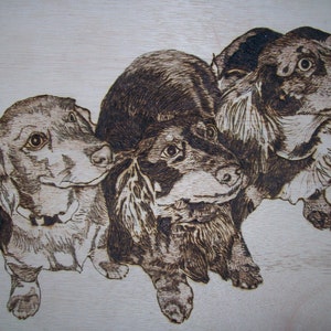 May include: A wood-burned image of three dachshund dogs. The dogs are in a group, with the two smaller dogs in front and the larger dog behind them. The dogs are all looking at the viewer.