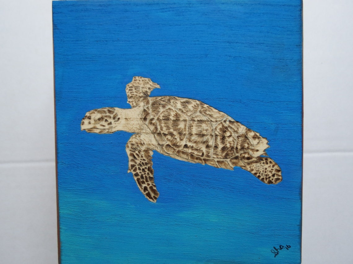 Pyrography Sea Turtle Sea Turtle Pyrography Box Hand Burned and Painted 7.25 X 7.25 Inches by ...
