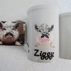 Pet Portrait Hand Painted Coffee Mugs Made to Order Any Animal Painted From Photo shepherd by Shannon Ivins image 5