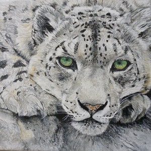 May include: A close-up of a snow leopard with green eyes. The leopard is lying down with its head resting on its paws. The fur is white with black spots.