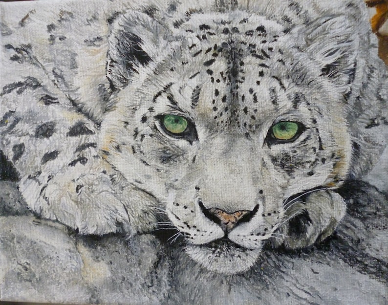 May include: A close-up of a snow leopard with green eyes. The leopard is lying down with its head resting on its paws. The fur is white with black spots.