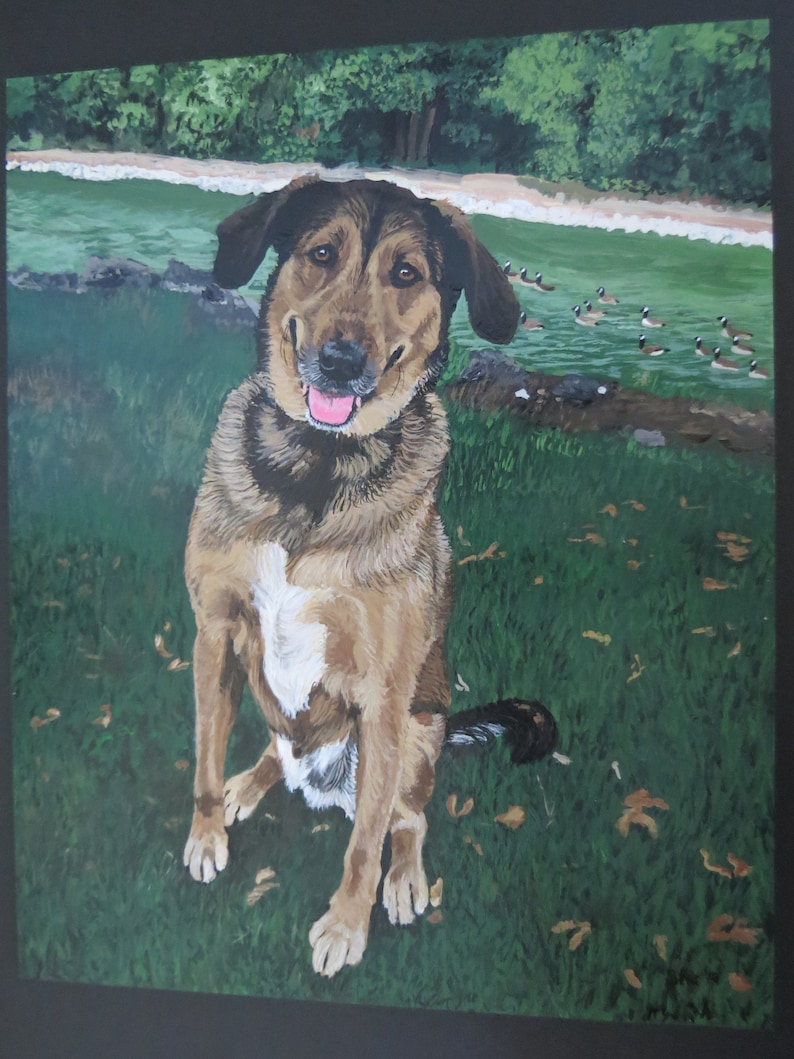 May include: A brown and black dog with white markings sits in a grassy field. The dog has a friendly expression and is looking directly at the viewer. The dog is sitting in front of a body of water with a group of geese swimming in the background.