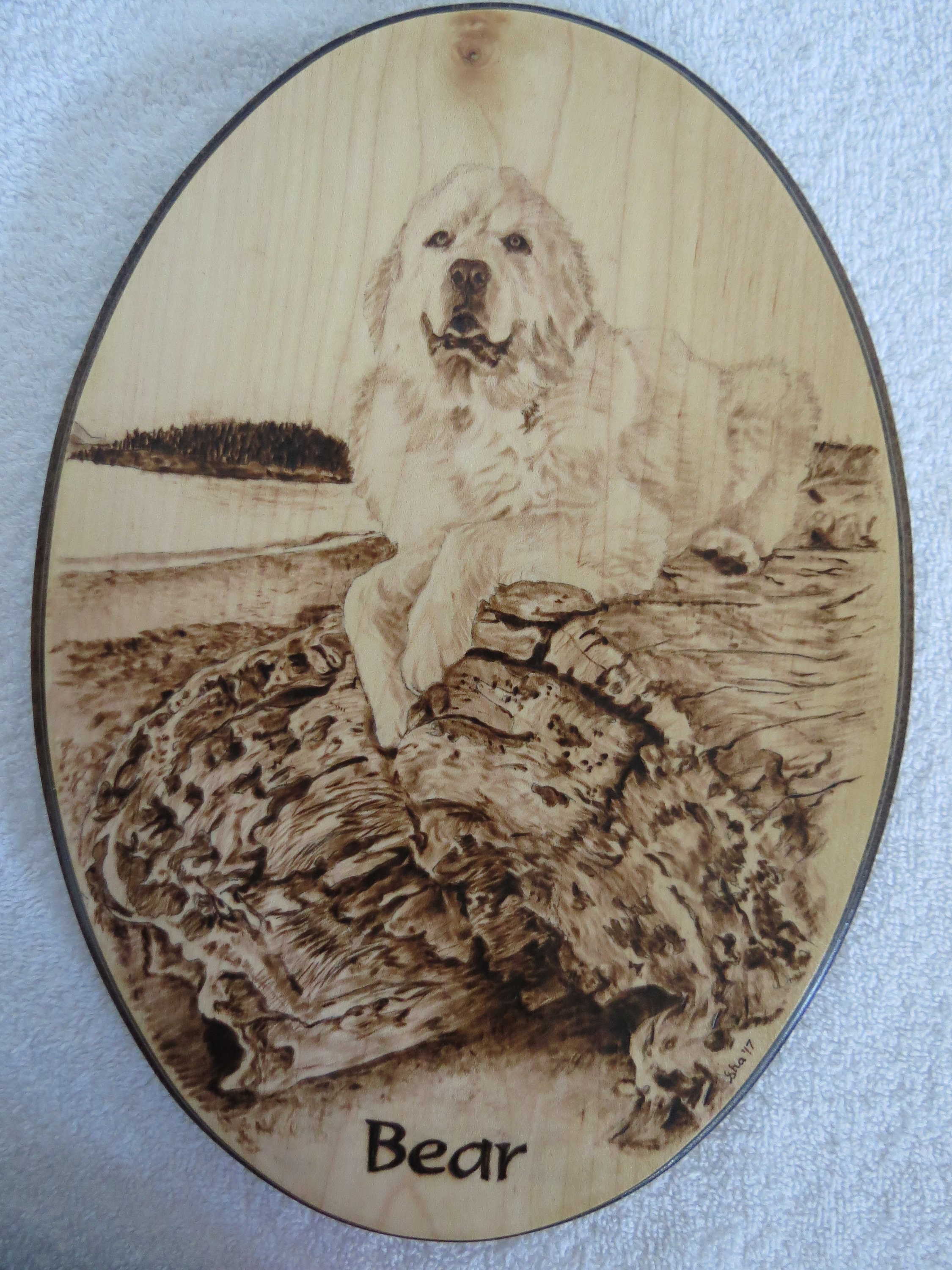 Pet Portrait Original Pyrograghy Wood Burn Plaques From Photo | Etsy