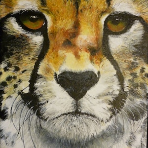May include: Close-up painting of a cheetah's face. The cheetah has a light brown and black spotted coat. The cheetah's eyes are brown and the nose is black. The cheetah's mouth is closed and the whiskers are visible.