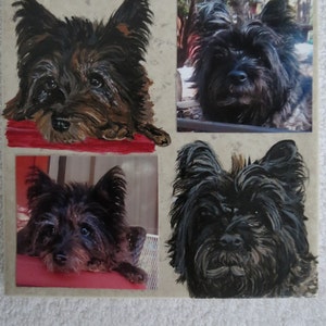 Pet Portrait Memorial 6 x 6 in Hand Painted Tile and Made to Order by Shannon Ivins