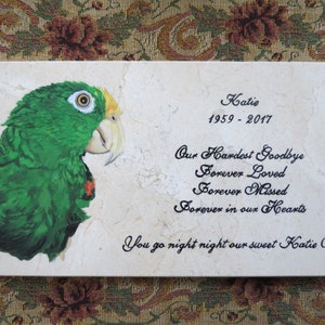 May include: A memorial tile with a painted green parrot with yellow and white accents. The tile has the text "Katie 1959-2017" and a poem that reads "Our Hardest Goodbye Forever Loved Forever Missed Forever in our Hearts You go night night our sweet Katie Baby."