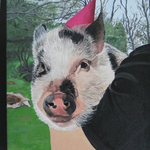 May include: A black and white pig wearing a pink party hat. The pig is looking directly at the camera. The pig is in a green grassy field.