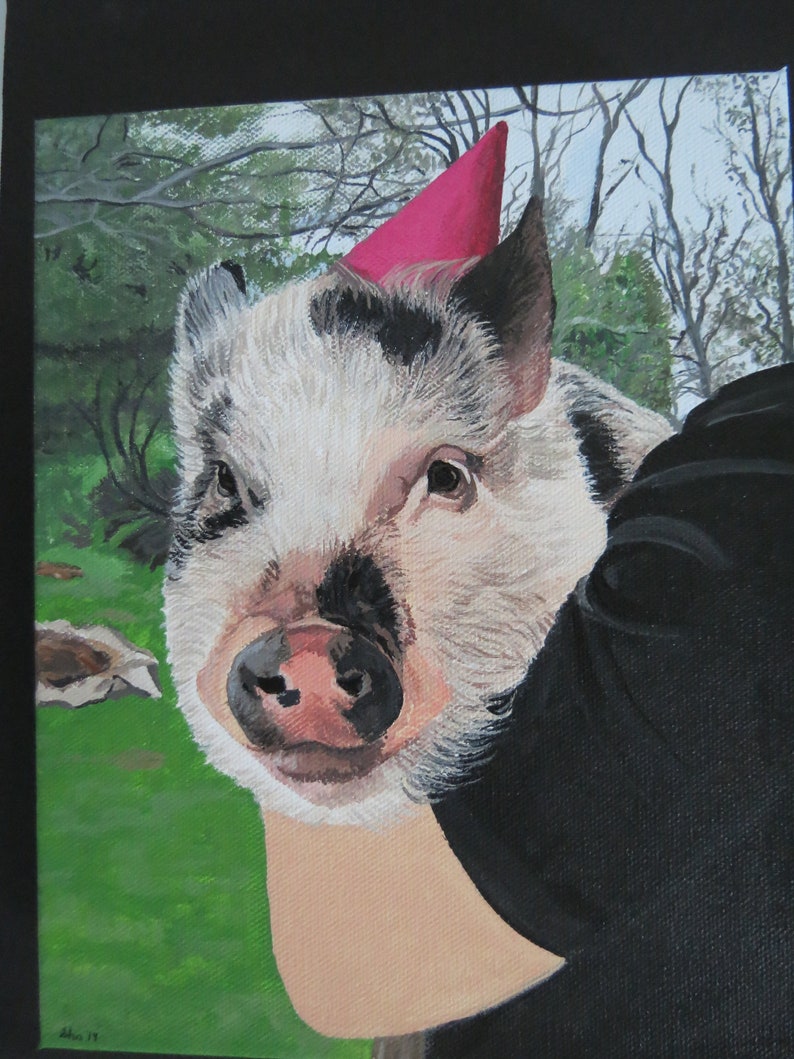 May include: A black and white pig wearing a pink party hat. The pig is looking directly at the camera. The pig is in a green grassy field.