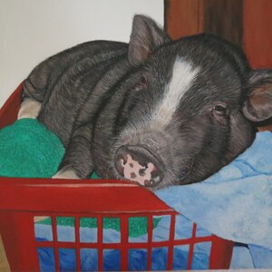 May include: A black and white piglet is sleeping in a red laundry basket. The piglet is lying on a blue towel and a green cloth.