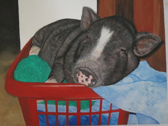 Pet Portrait Original Oil Painting Made to Order 16 x 20 inch Gallery Quality Canvas Pot Bellied Pig by Shannon Ivins
