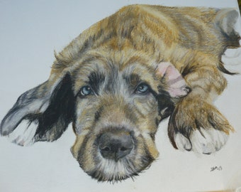 Irish Wolfhound Puppy Watercolor Pet Portrait Made to Order 9 x 12 inches by Shannon Ivins Pigatopia