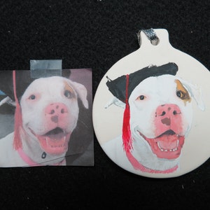 Pet Portrait Ceramic Memorial Ornament Hand Painted and Made to Order painted from provided photo any animal by Pigatopia / Shannon Ivins image 8