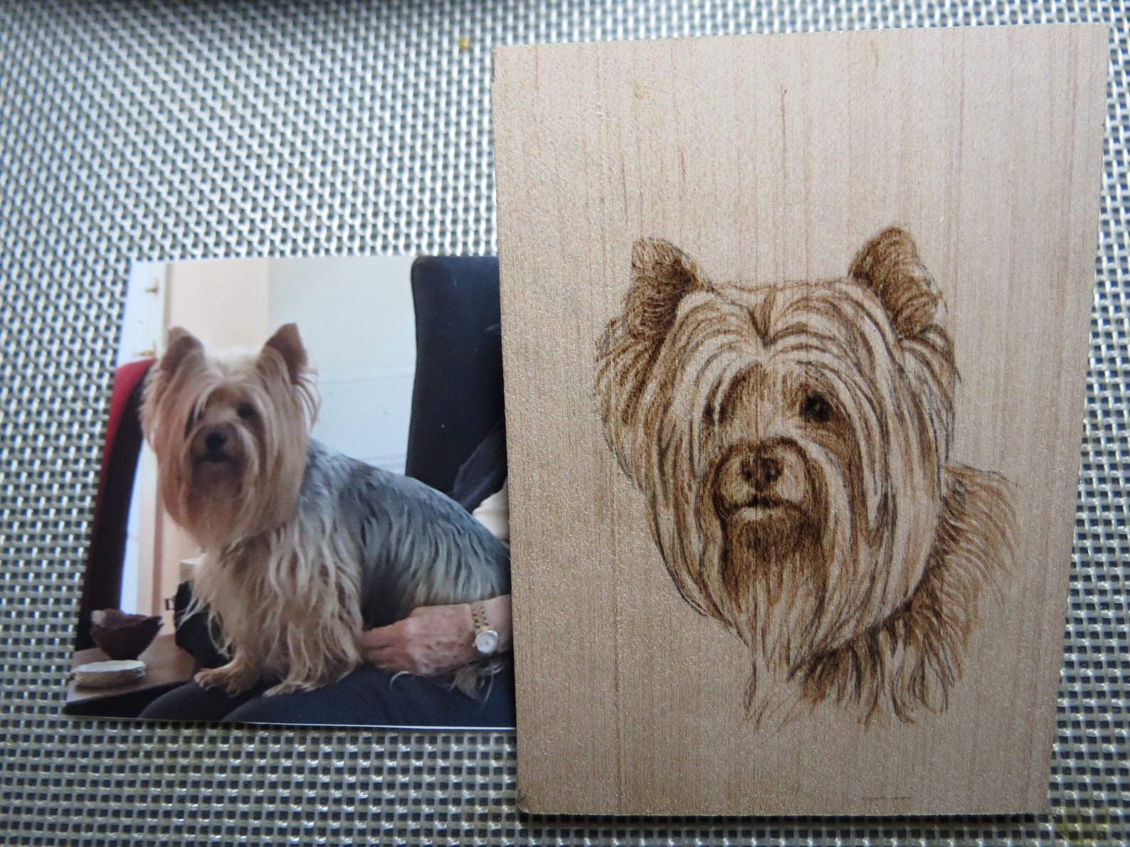 Pet Portrait Pyrography 12 X 12 Inch With Hand Crafted | Etsy