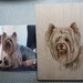 Pet Portrait Pyrography 12 X 12 Inch With Hand Crafted - Etsy
