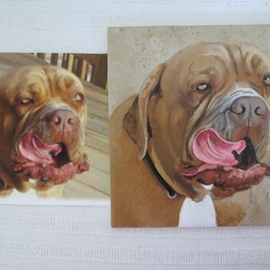 Pet Portrait 6 x 6 inch Ceramic Tiles Hand Painted and Made to Order using your photo by Shannon Ivins