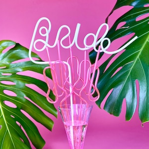 Bachelorette Straws | Bachelorette Party favors | Camp Bachelorette Party gifts | Funny Bridesmaids Gifts | Bachelorette Party Supplies