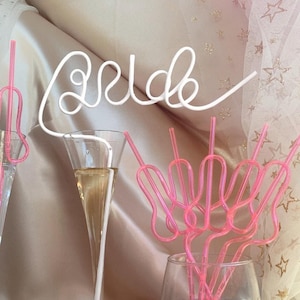 Bachelorette Straws | Bachelorette Party favors | Camp Bachelorette Party gifts | Funny Bridesmaids Gifts | Bachelorette Party Supplies
