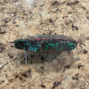 turtle wake bait fishing lure for bass, pike, and musky or anything that eat turtles