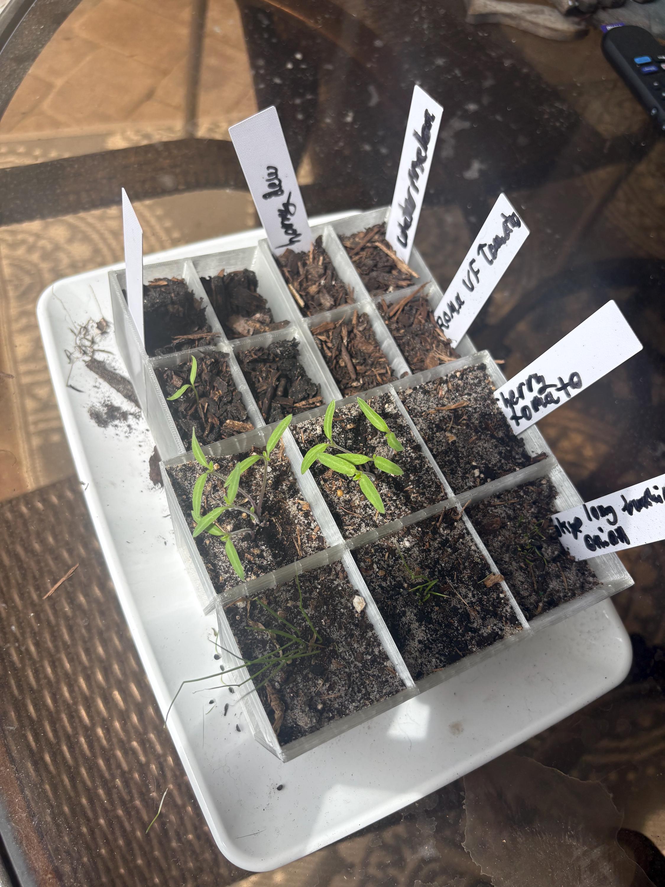 Rootstart 6 Cell Seed Starting Cups - Etsy
