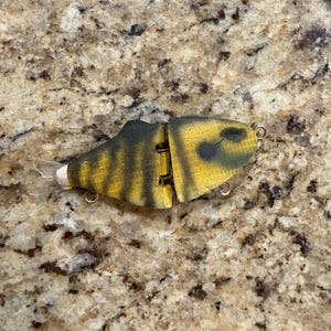 Puede incluir: Un señuelo de pesca segmentado con un patrón de rayas amarillas y negras. El señuelo tiene un diseño articulado, ojales metálicos y una pequeña cola blanca. El señuelo está diseñado para imitar a un pez y atraer a otros peces.