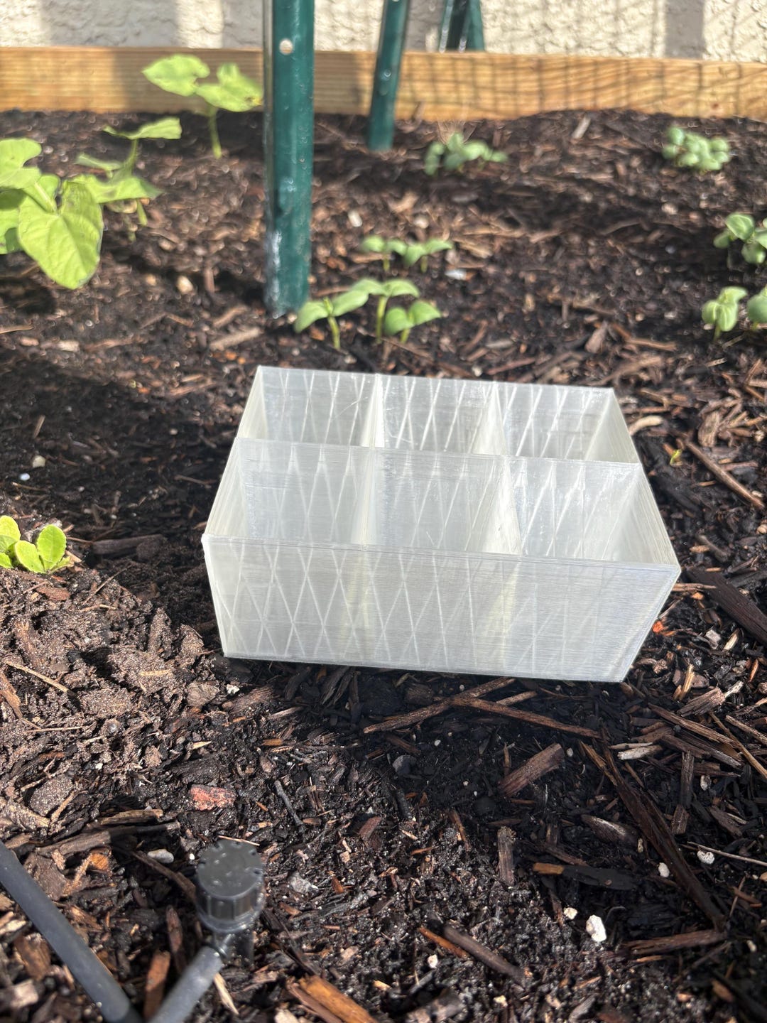 Rootstart 6 Cell Seed Starting Cups - Etsy