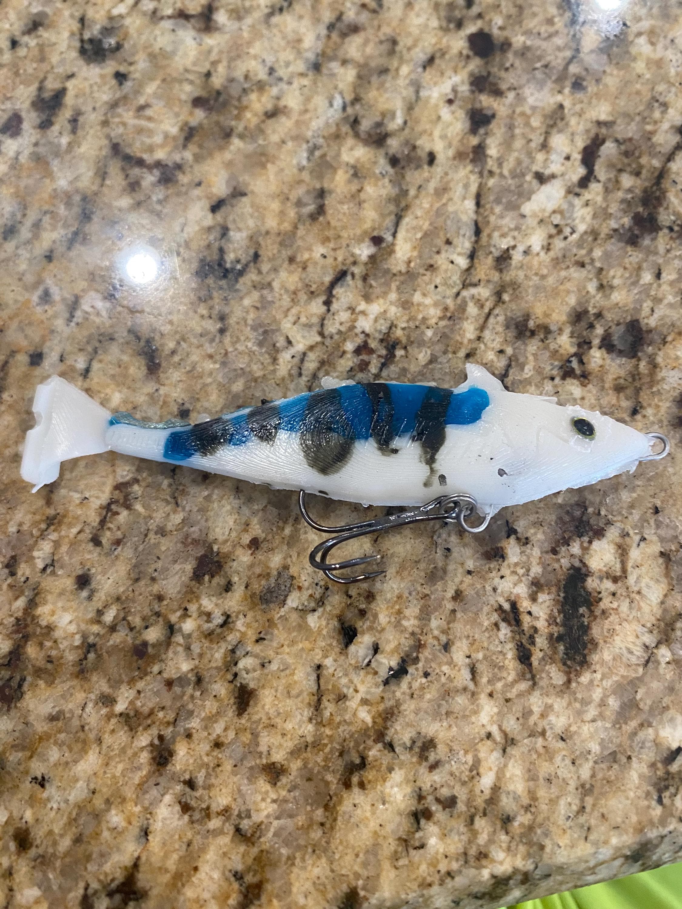 Big Swim Baits