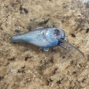 custom painted shad deep diver