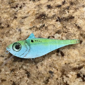 custom made greenback/pilchard/menhaden/thread fin crank bait