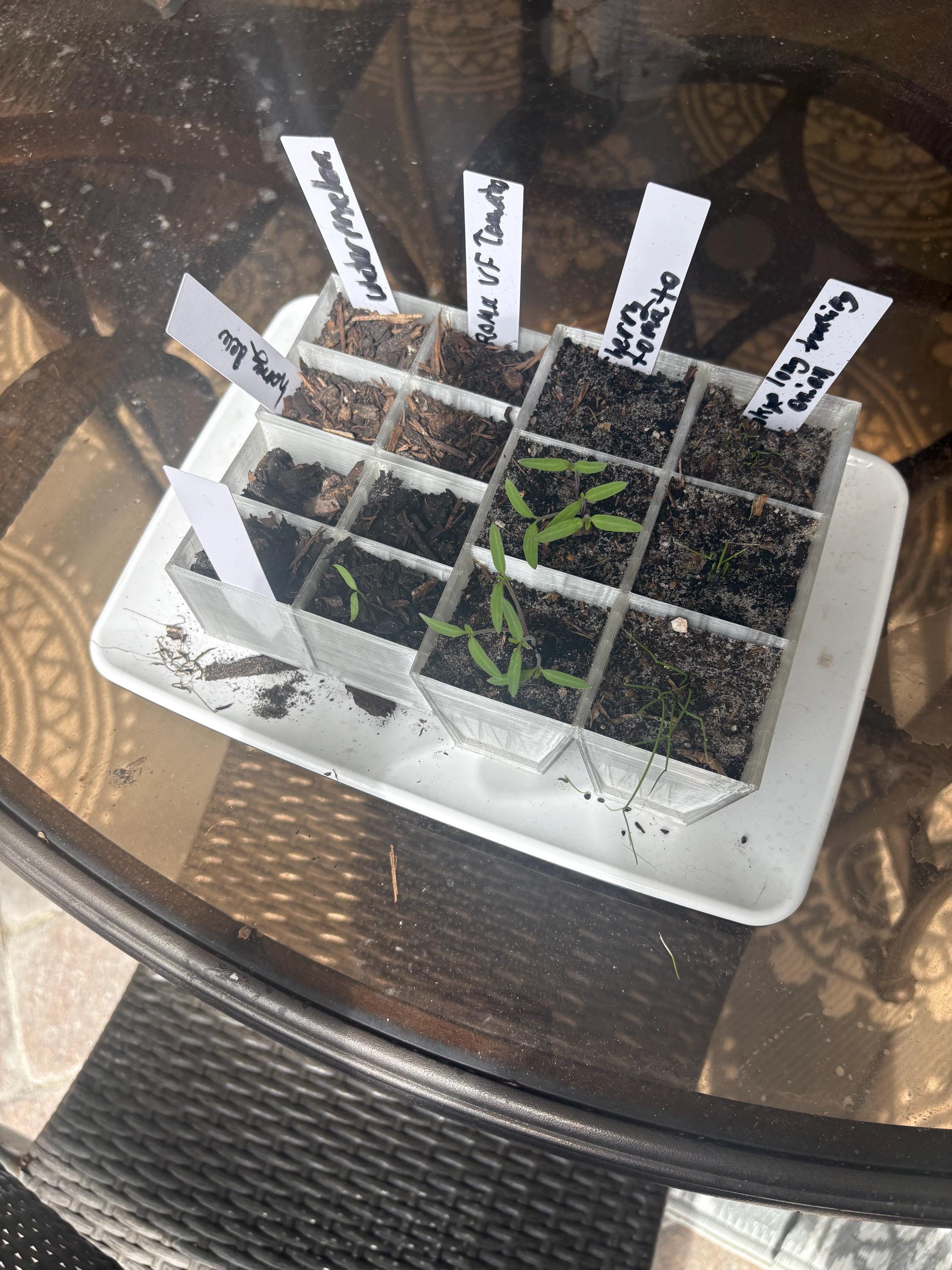 Rootstart 6 Cell Seed Starting Cups - Etsy